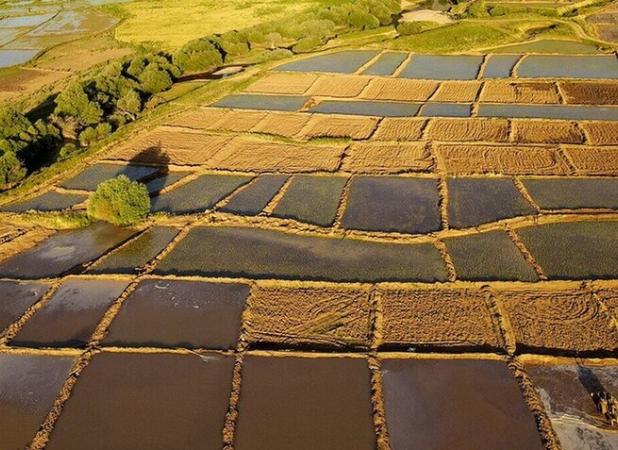 تکمیل رفع تداخل ۳۷ پلاک اراضی کرمانشاه در دستور کار