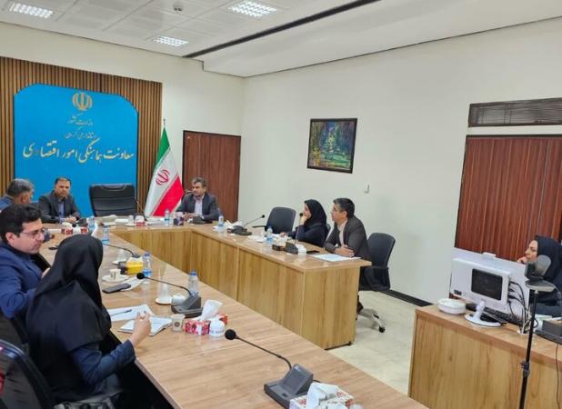 سعیدی: بسته سرمایه‌گذاری حوزه سلامت کرمان در دست تدوین است