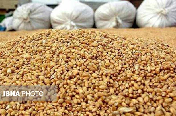 احداث کارخانه خوراک آبزیان در بوشهر ضروری است