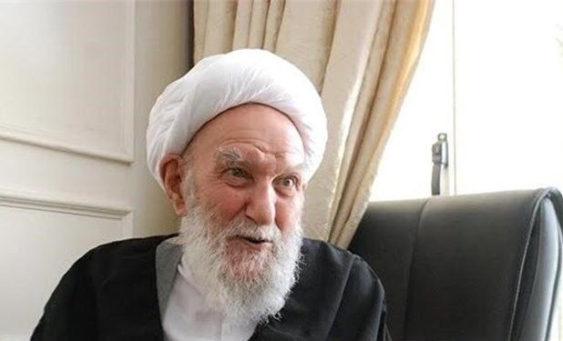 عضو مجلس خبرگان: آیت‌الله ناصری نمونه اکسیر عشق به ولی خدا بود