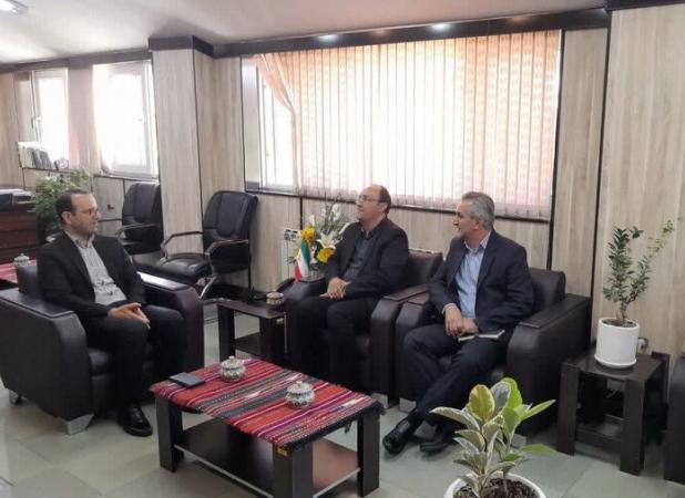شاهرود و میامی نیمی از معلولان استان سمنان را در خود جای داده است
