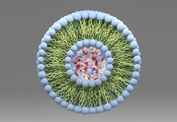 استانداردسازی فناوری نانو در حوزه نانولیپوزوم‌ها و ارزیابی ایمنی نانومواد