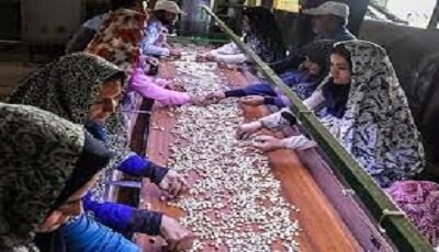 برگزاری روز جهانی زن روستایی در زاهدان