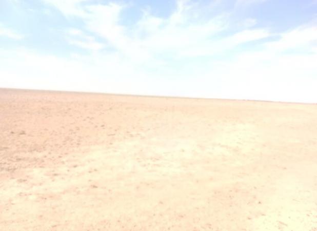 تالاب بندعلیخان در آستانه بحران اکولوژیک