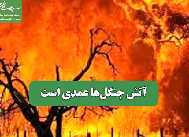 آتش جنگل‌ها عمدی است
