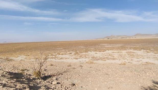 حال ناخوش میزبان فلامینگوها در ملایر