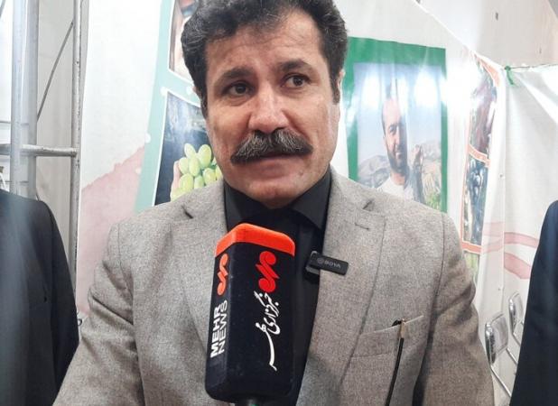 مسیر توسعه متوازن و اقتصاد پایدار در روستاها دنبال می‌شود