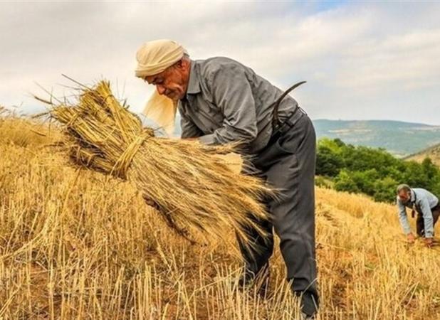 تفاهم‌نامه جدید طرح جهش تولید در دیم‌زارها امضا شد