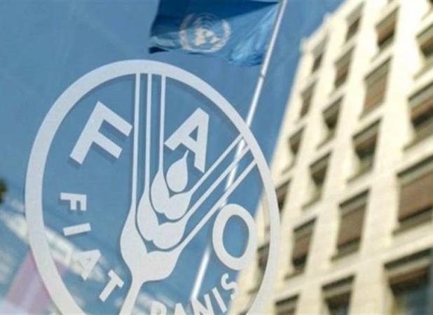 ۸۶۸ میلیون نفر در جهان غذا برای خوردن ندارند