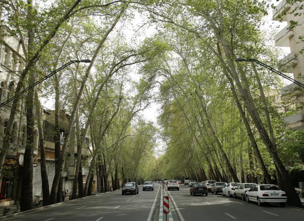 زیباترین خیابان‌های ایران که عاشقش می‌شوید