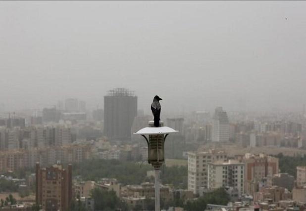 هوای شهر همدان و نهاوند برای گروه‌های حساس ناسالم شد