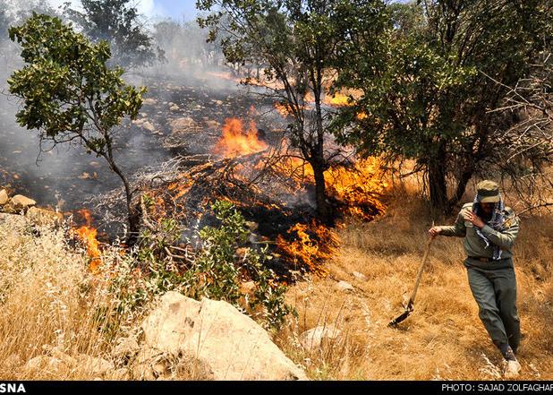 معاون منابع طبیعی لرستان:  ۹۰ درصد آتش‌سوزی‌های کشور در زاگرس رخ می‌دهد