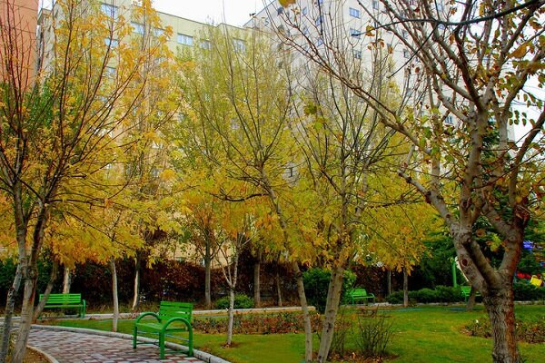 بوستان ملل در منطقه ۳ تهران افتتاح شد