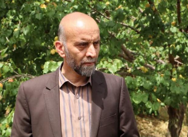تولید سالانه ۳۶ هزار تن میوه زردآلو در لرستان