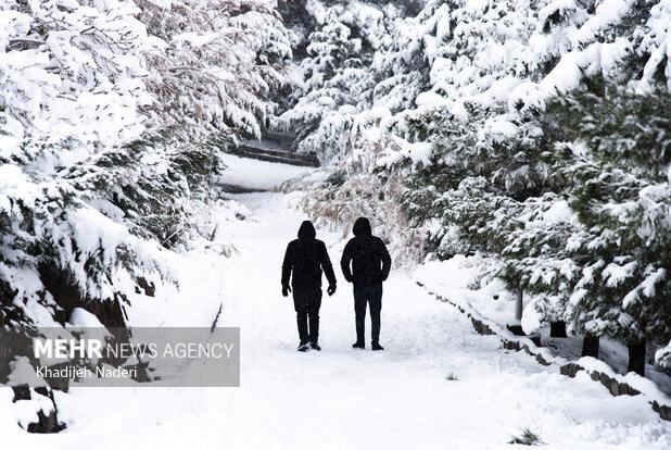 بارش برف در تفرجگاه پیر کدو شهرستان بوانات فارس