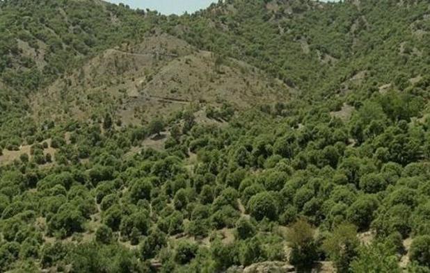 مدیرکل محیط زیست لرستان: بدون مشارکت مردم هیچ برنامه حفاظتی در زاگرس موفق نمی‌شود