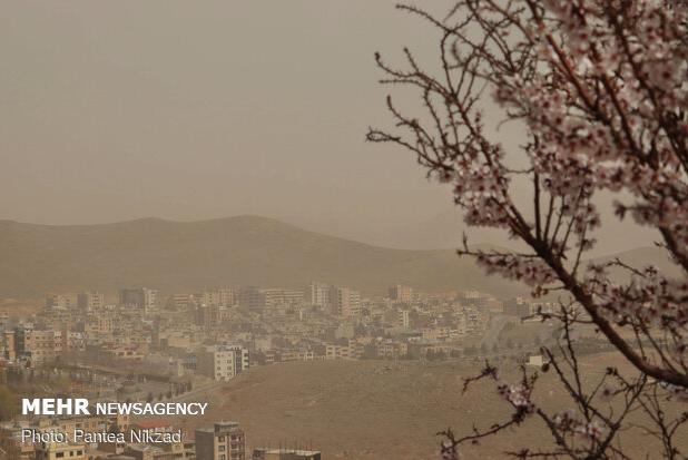 ماموریت‌های تنفسی اورژانس تهران ۱۷ درصد افزایش یافت