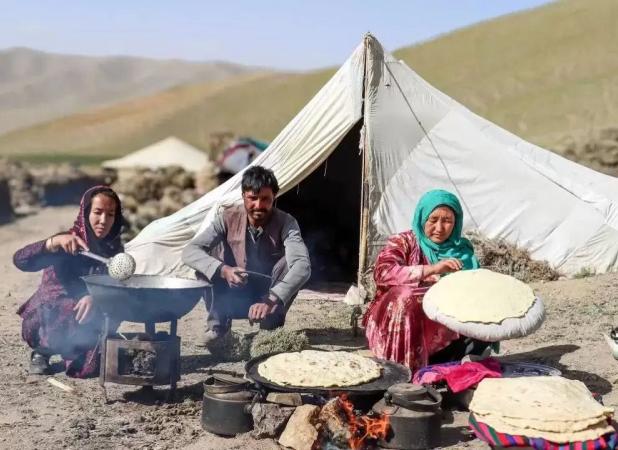 بررسی وضعیت تغذیه‌ای عشایر در ۱۳ استان کشور / نیاز به تامین منابع برای تکمیل طرح در ۷ استان