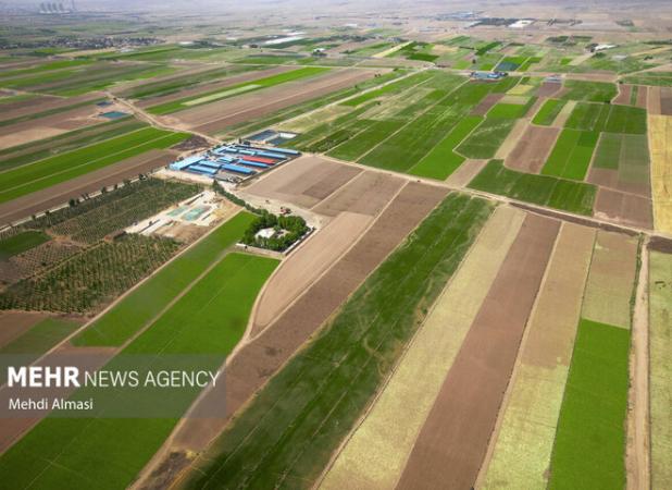 ۶۲ هزار هکتار از اراضی زراعی استان قزوین شناسه‌دار شد