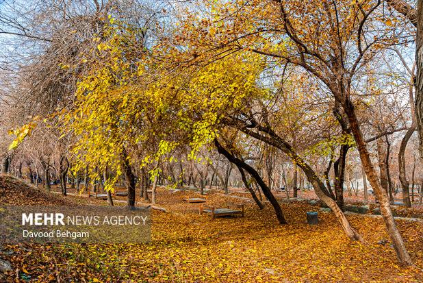 اثمری: دمای هوای مشهد به بیش از ۳۰ درجه می‌رسد