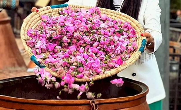 حال نوید حال خوش صنعت گلابگیری پس از ثبت ملّی