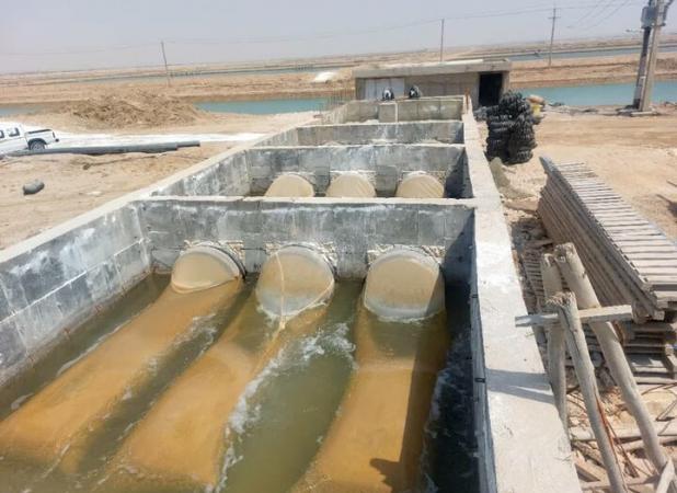 اجرای طرح پایلوت کنترل و پیشگیری از بیماری‌های میگو در بردستان