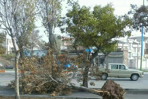 تندباد ۹۰ کیلومتر بر ساعت بجنورد را درنوردید