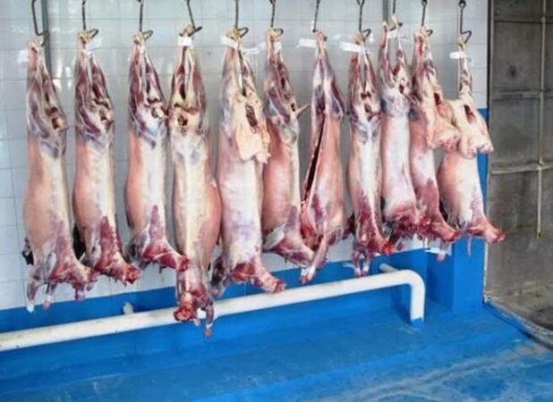 کشتارگاه‌های استان بوشهر تا پایان تعطیلات نوروزی فعال هستند