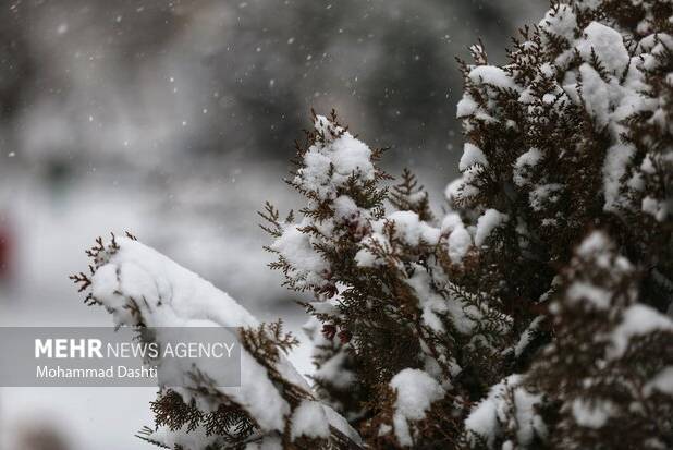 بارش برف ۲۰ سانتی‌متری در تویسرکان و کاهش ۱۰ درجه‌ای دما در همدان