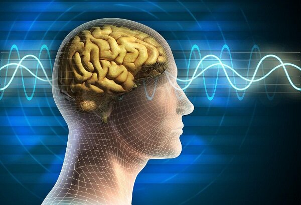 خواندن سیگنال‌های پنهان مغز با فناوری جدید محقق ایرانی