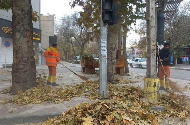 برگ‌های پاییزی بجنورد قبل از بارش باران جمع‌آوری شد