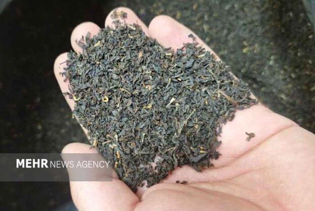 کشف ۶ تن چای خشک قاچاق در پاکدشت