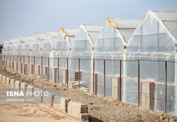  گلخانه فقط پلاستیک کشیدن روی خاک نیست/گاز در ۹۰ درصد گلخانه‌ها هدر می‌رود