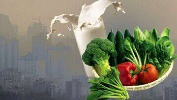 تاثیر تغذیه مناسب در کاهش آسیب‌های ناشی از آلودگی هوا