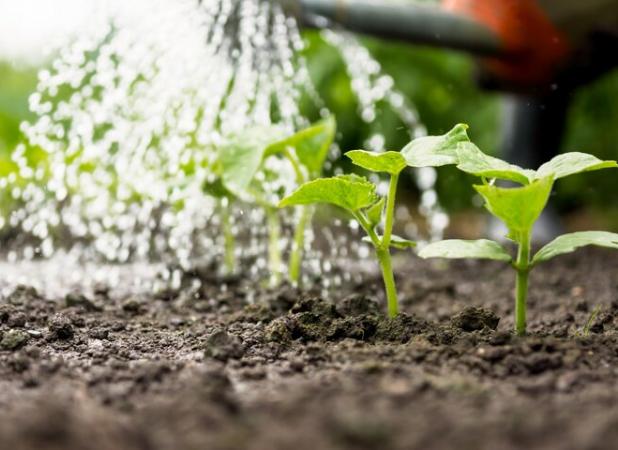 تأمین مالی ۱۱۲ طرح اولویت‌دار کشاورزی در خراسان جنوبی از محل اعتبارات تبصره ۱۸