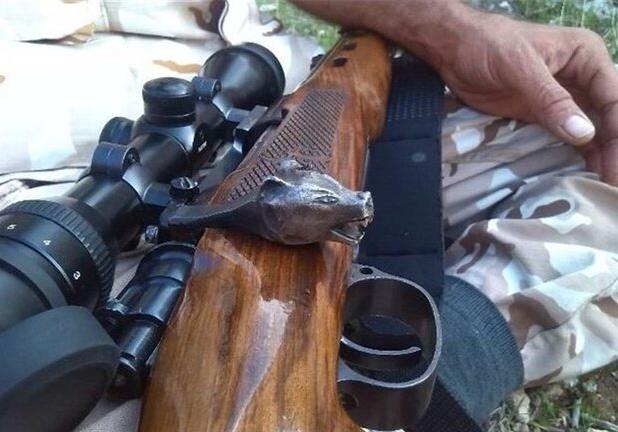شکارچیان مرال در سوادکوه دستگیر شدند