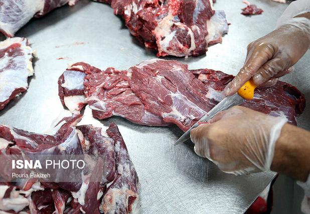 اجرای گسترده نظارت‌های بهداشتی در کشتارگاه‌های دام زنجان