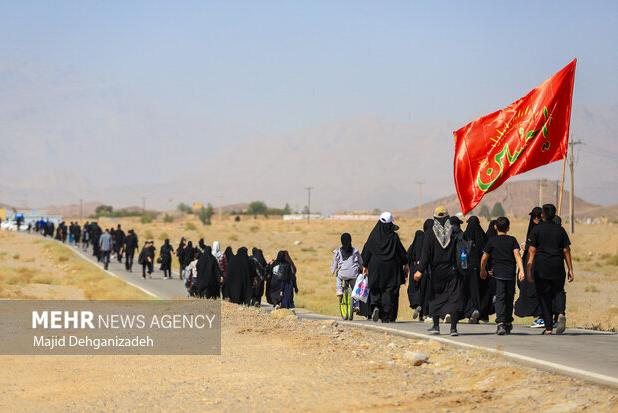 حضور چشمگیر بوشهری‌ها در راهپیمایی جاماندگان اربعین