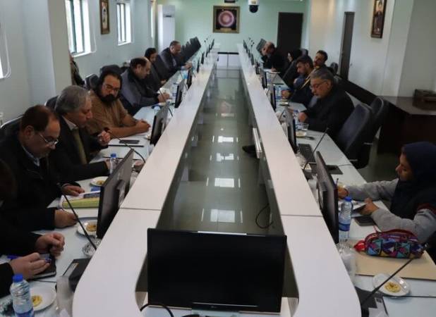 رویکرد کمیته هنری دهه فجر کرمان؛ هنر، ابزار تبیین دستاوردهای انقلاب