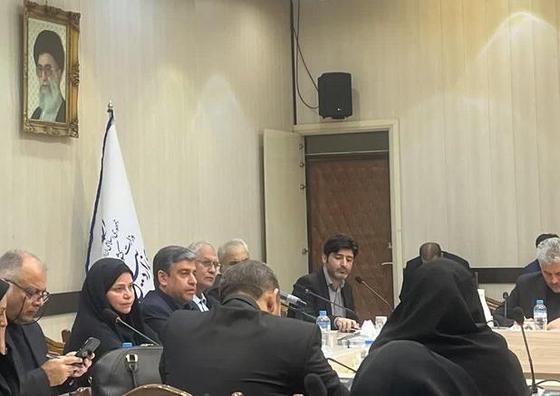 ربیعی:برنامه اصلی دولت هم افزایی اجتماعی و تقویت محله گرایی است