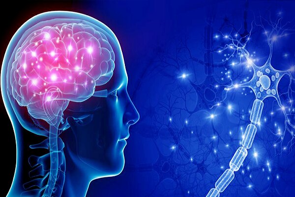 حمایت از طرح‌های دکتری و پسادکتری همسو با اولویت‌های ستاد شناختی