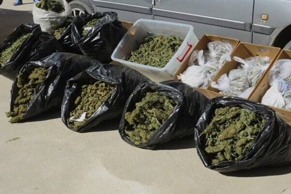 بزرگ‌ترین محموله ماریجوانا سال در شهرستان ری کشف شد