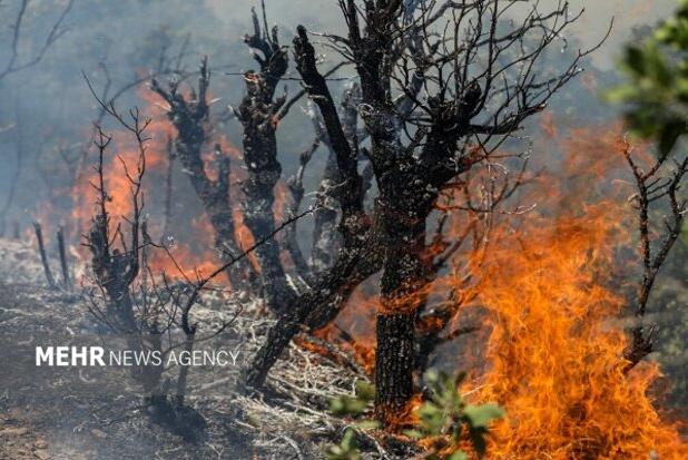 کوه دهک باشت همچنان در آتش؛جدال انسان با طبیعت برای مهار آتش سوزی