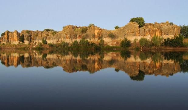 المپیک ۲۰۳۲ در قلمرو کروکودیل‌ها!