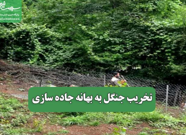 تخریب جنگل به بهانه جاده سازی