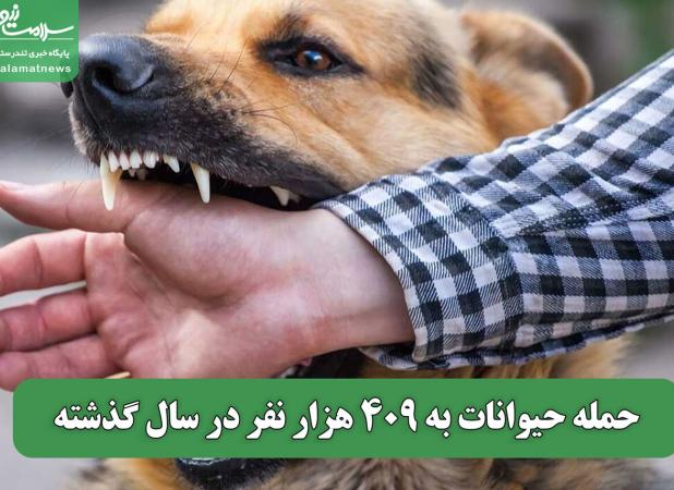حمله حیوانات به 409 هزار نفر در سال گذشته