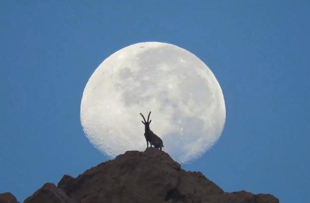 کوه دوباره نفس کشید؛ حفاظت جوانان از بلندترین قله استان بوشهر