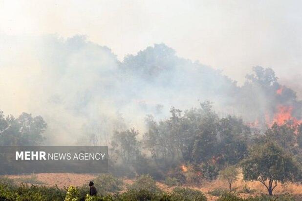 آتش جنگل‌های گلستان فروکش کرد؛ لکه‌گیری آغاز شد