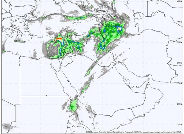 ورود سامانه بارشی جدید به شمال کشور؛ هشدار سرمازدگی باغات در ۱۳ استان