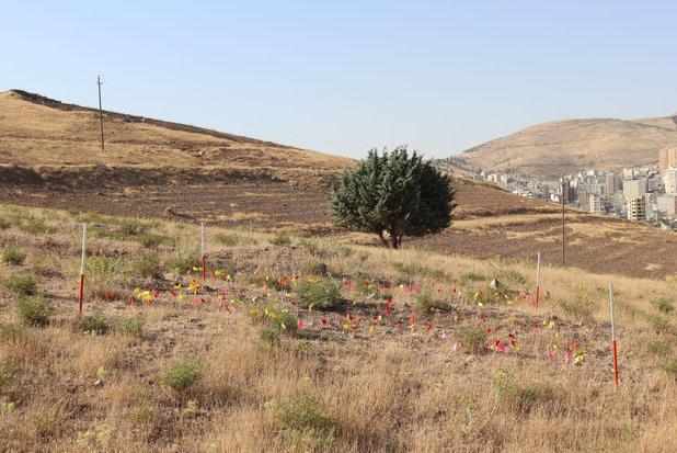 سرنوشت محوطه باستانی یک میلیون ساله کرمانشاه چه می‌شود؟